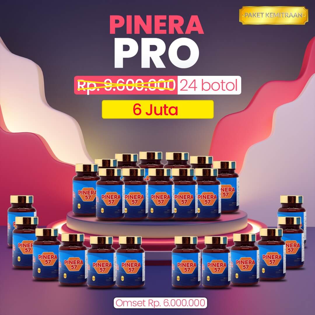 Profesiona Treninet